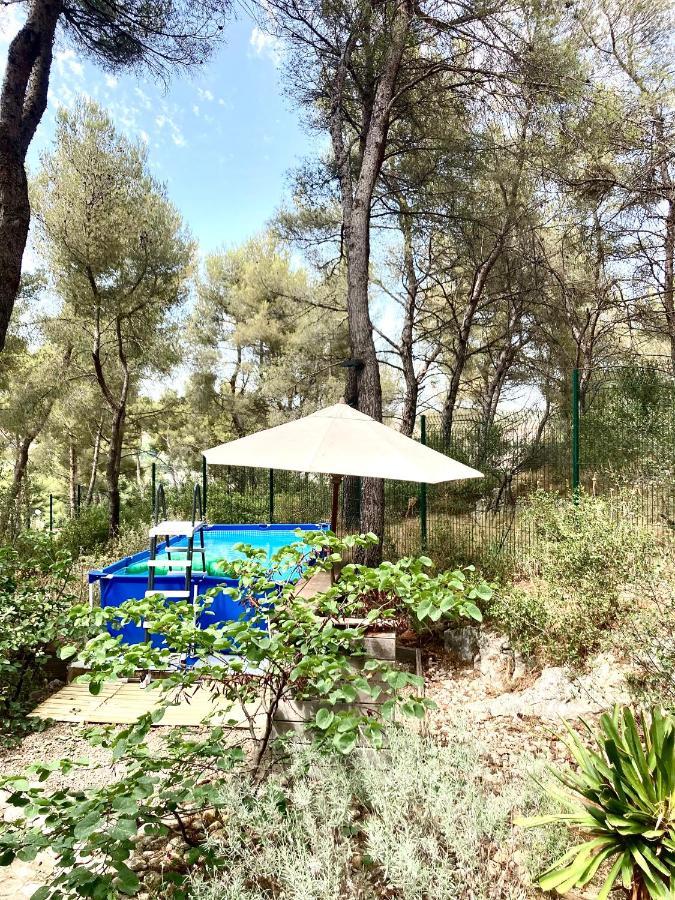 Maison De Charme Avec Piscine Et Jacuzzi Dans Cadre Exceptionnel Proche Marseille Mirabeau エクステリア 写真